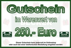 BFT Gutschein 250 Euro