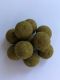 Becker Conquest Boilies Green Wizard